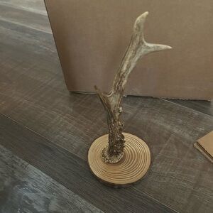 Mounted Deer Antler Horn 3 Points Whitetail Taxidermy Craft Real Decor 8”
